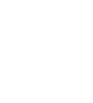 Pivovarna Laško Union